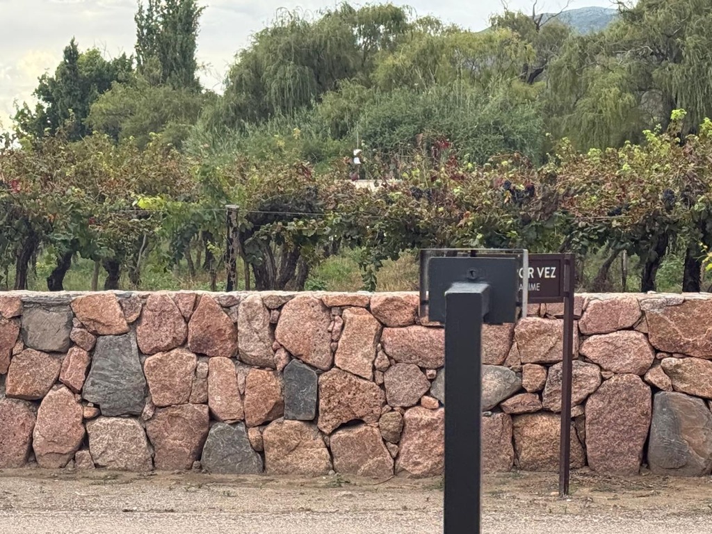 PIEDRAS ROSAS