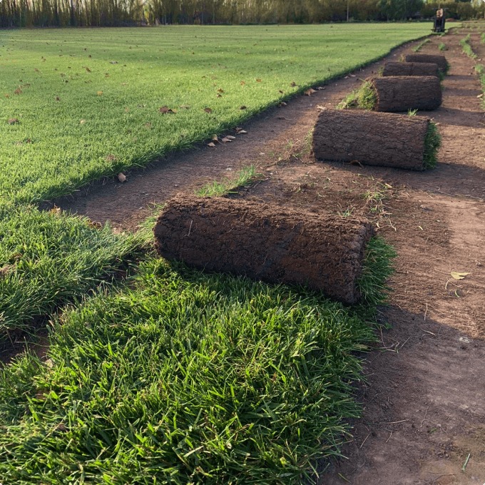 PASTO/CESPED EN PANES X M2